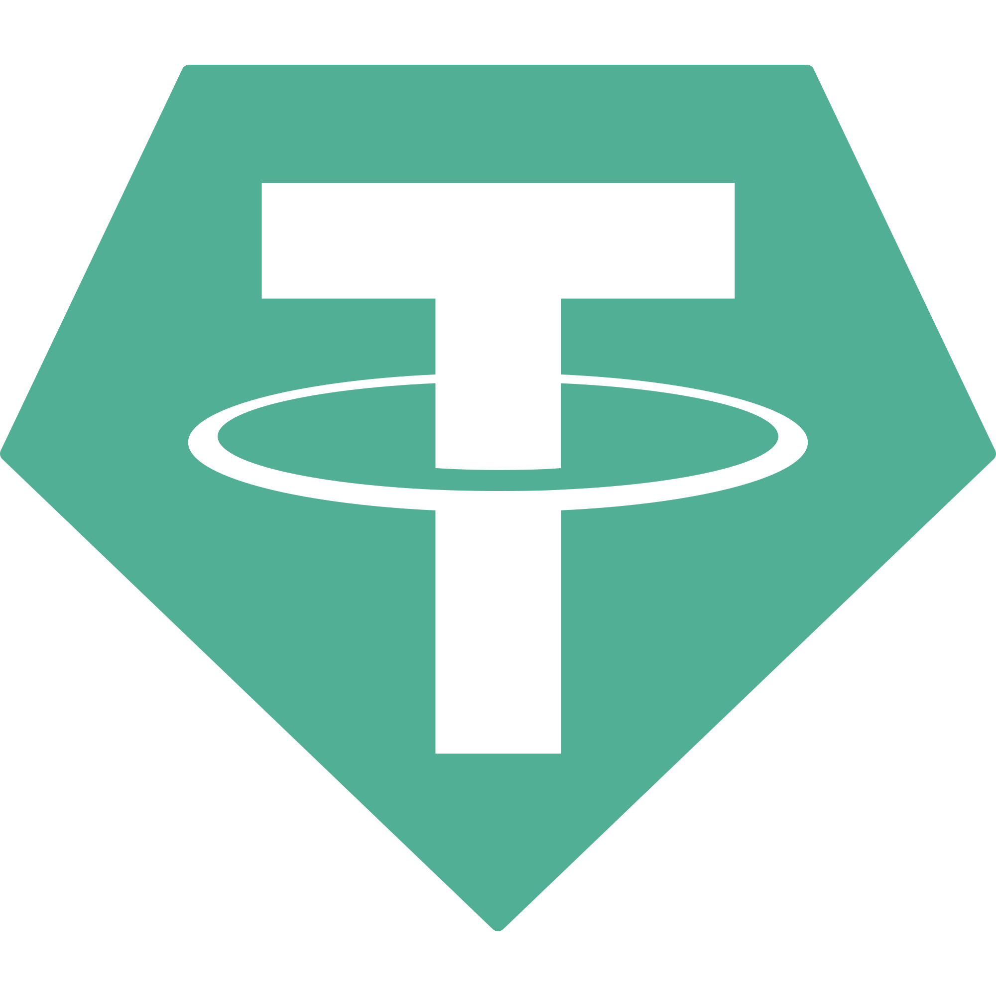 USDT (ERC20) icon